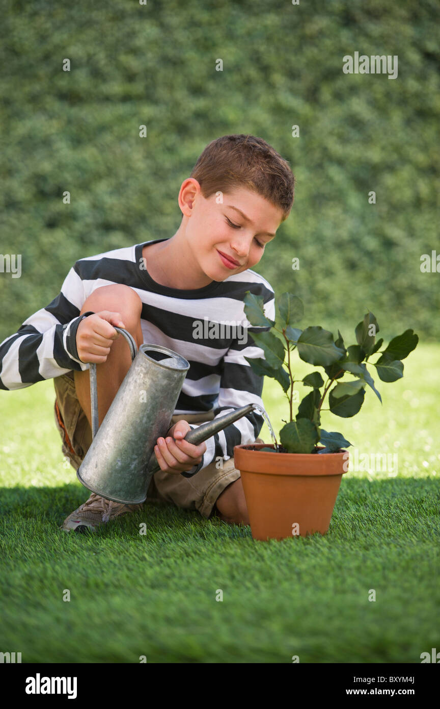 Boy watering plant in pot Stock Photo - Alamy