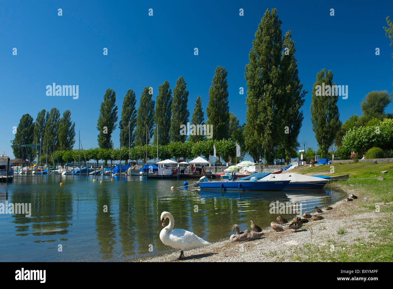 Harbour of Unteruhldingen, Lake Constance, Baden-Wuerttemberg, Germany Stock Photo