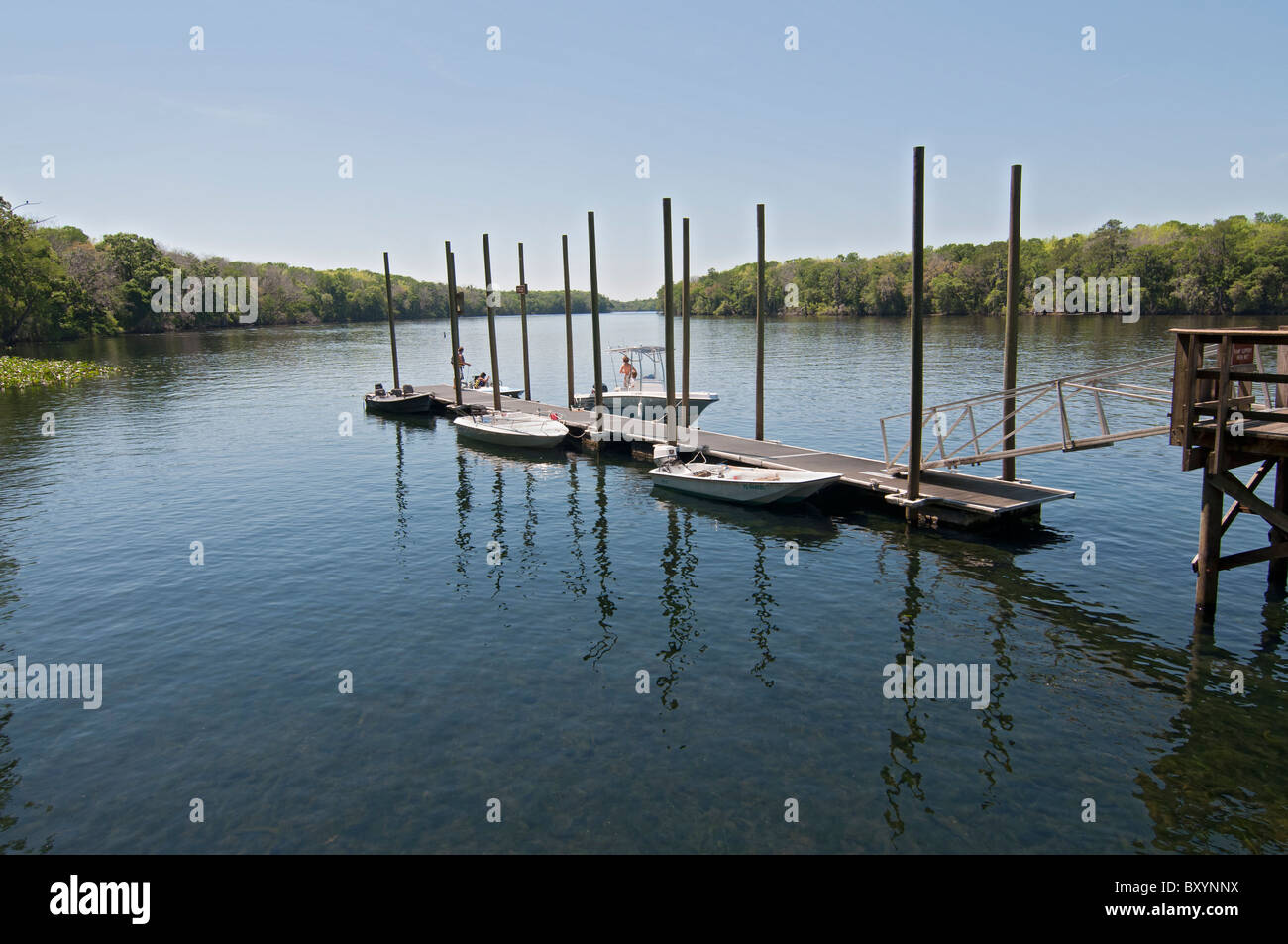 floating boat dock along the Suwannee River North Florida Stock Photo