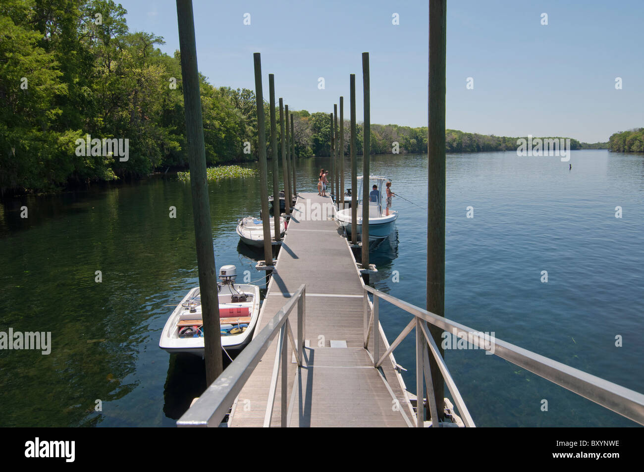 floating boat dock along the Suwannee River North Florida Stock Photo