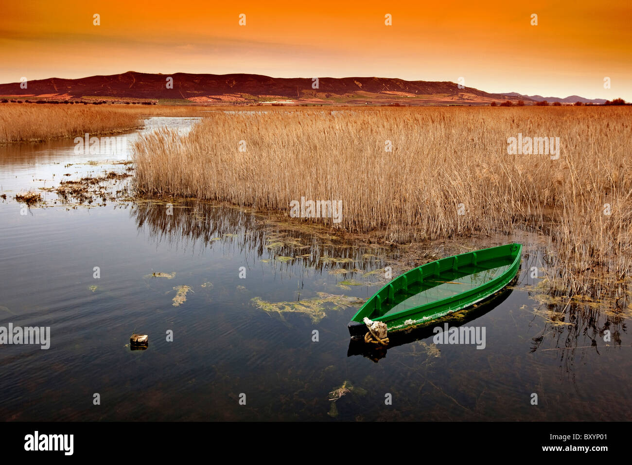 Barca en el Parque Nacional de Las Tablas de Daimiel Ciudad Real Castilla La Mancha España boat National Park Spain Stock Photo