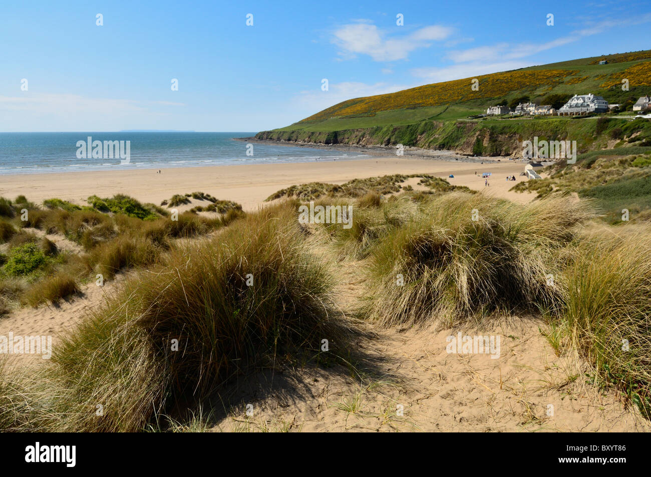 Braunton Burrows sand dunes at Saunton near Braunton on the North Devon