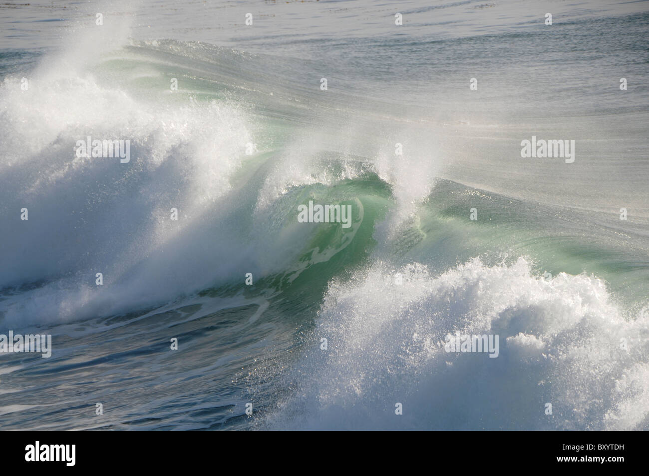 Wave in motion hi-res stock photography and images - Alamy