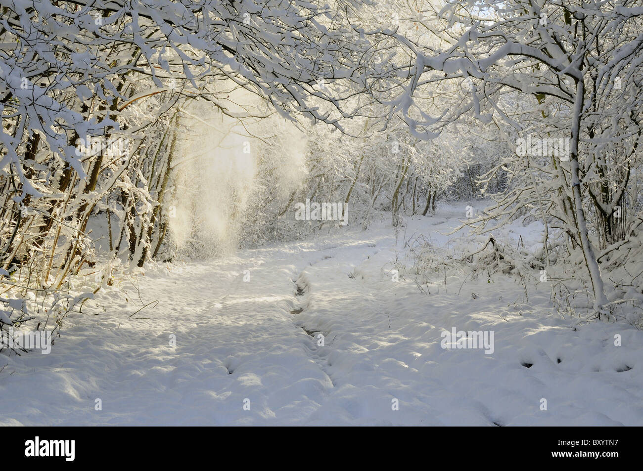 snow on a crisp december morning Stock Photo - Alamy