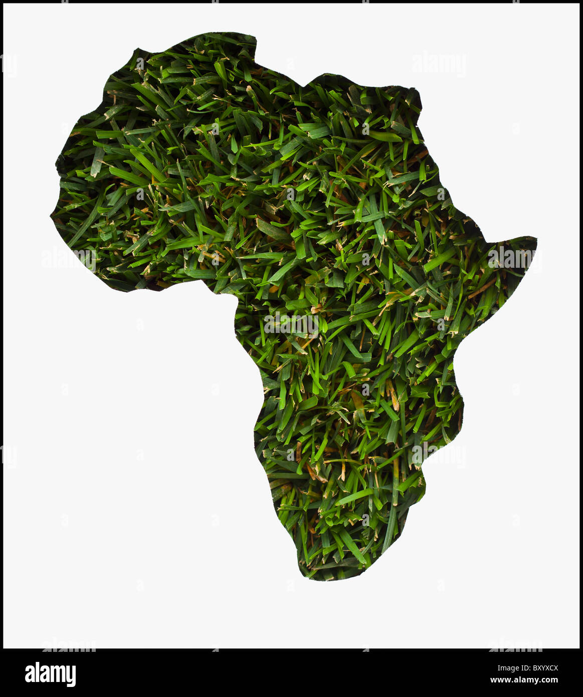 Africa map made from grass Stock Photo