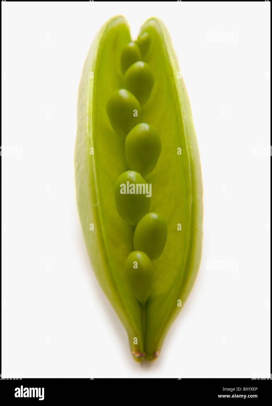 Peas in Pod Stock Photo Alamy
