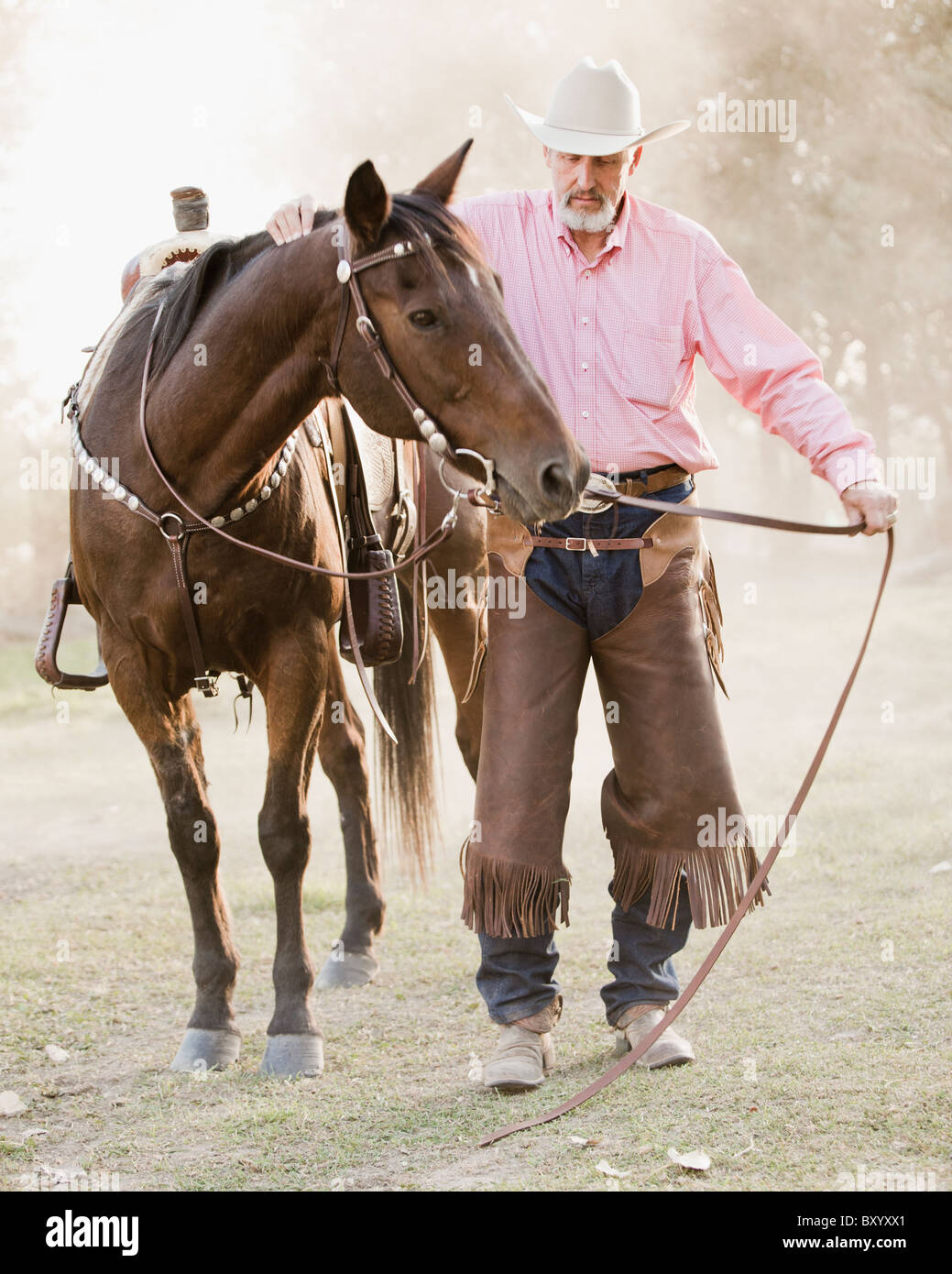 Portrait of senior man with horse in ranch Stock Photo