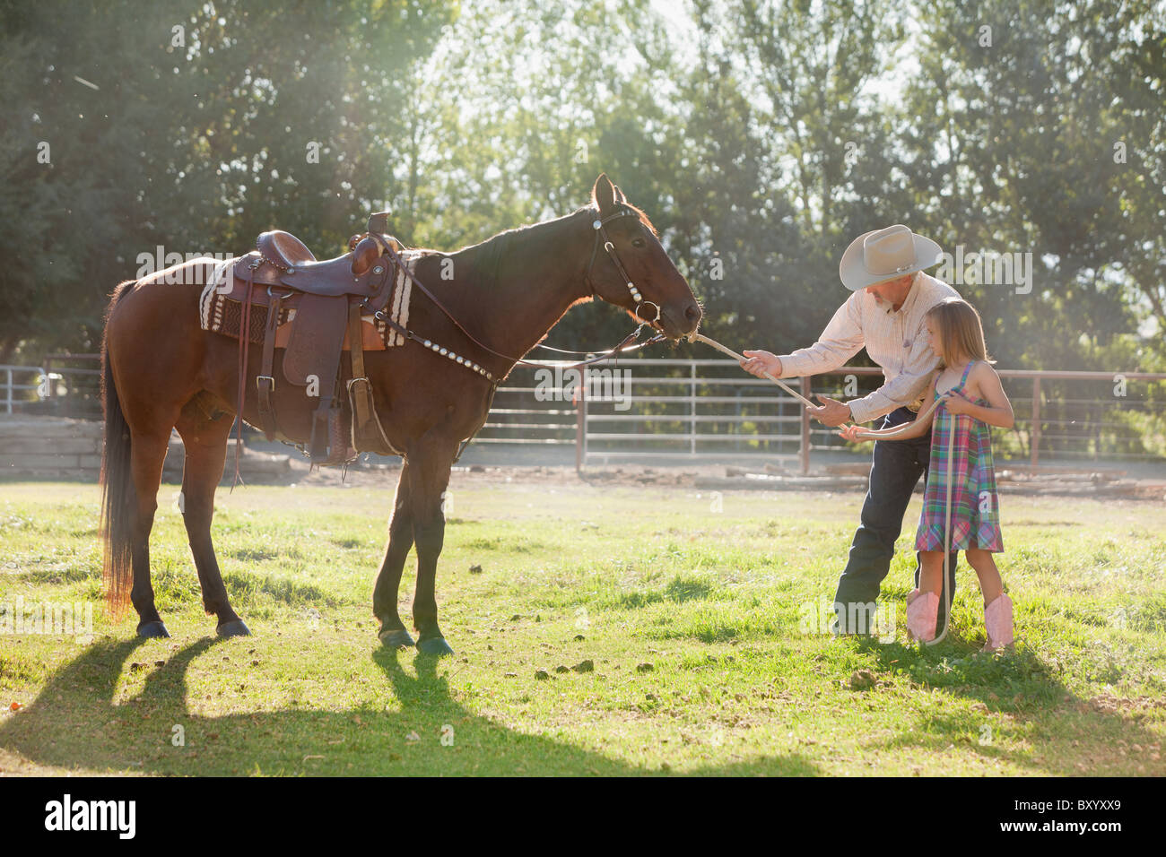Senior man with granddaughter training horse in ranch Stock Photo