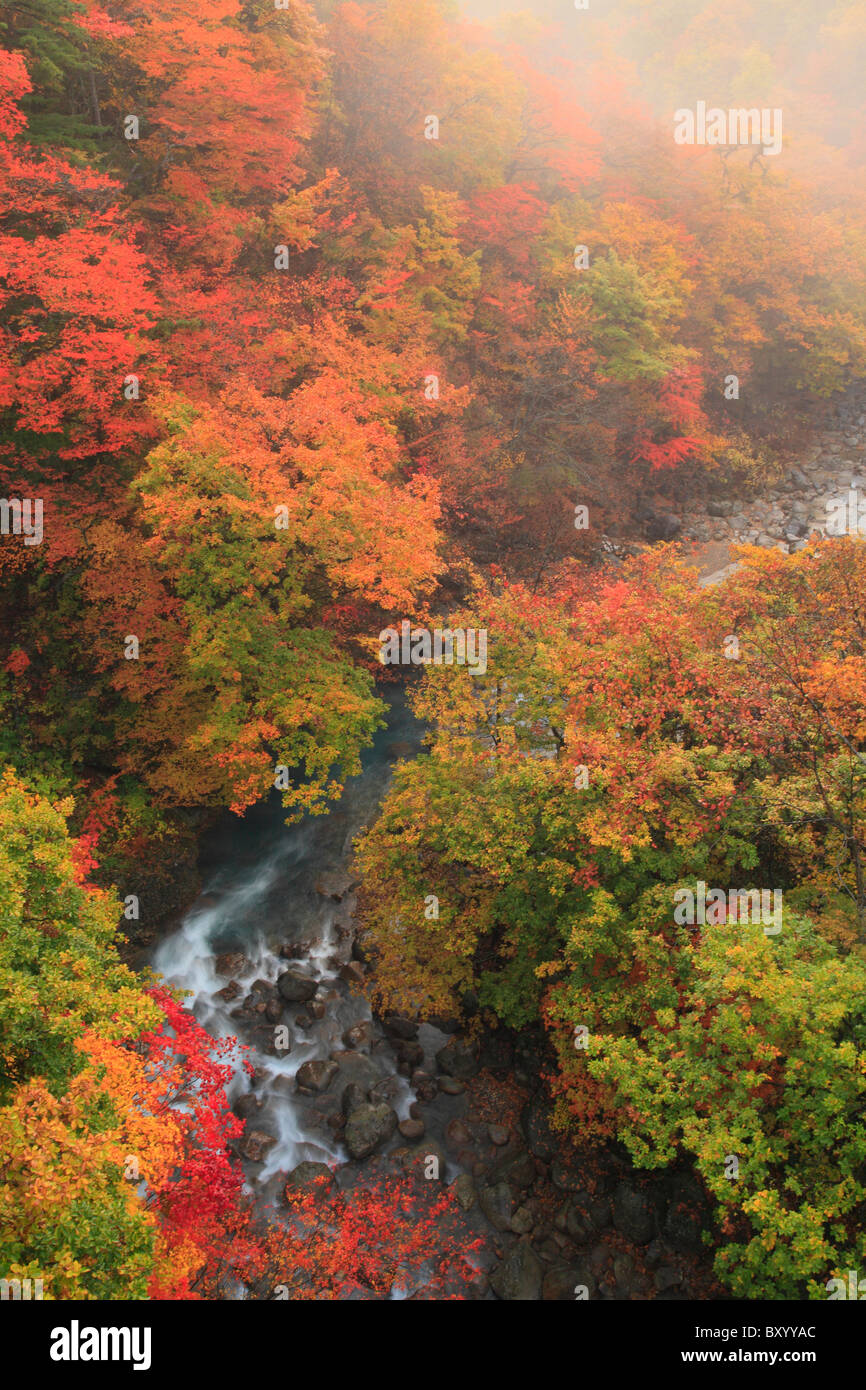 Autumn Leaves of Matsukawa Valley, Hachimantai, Iwate, Japan Stock Photo