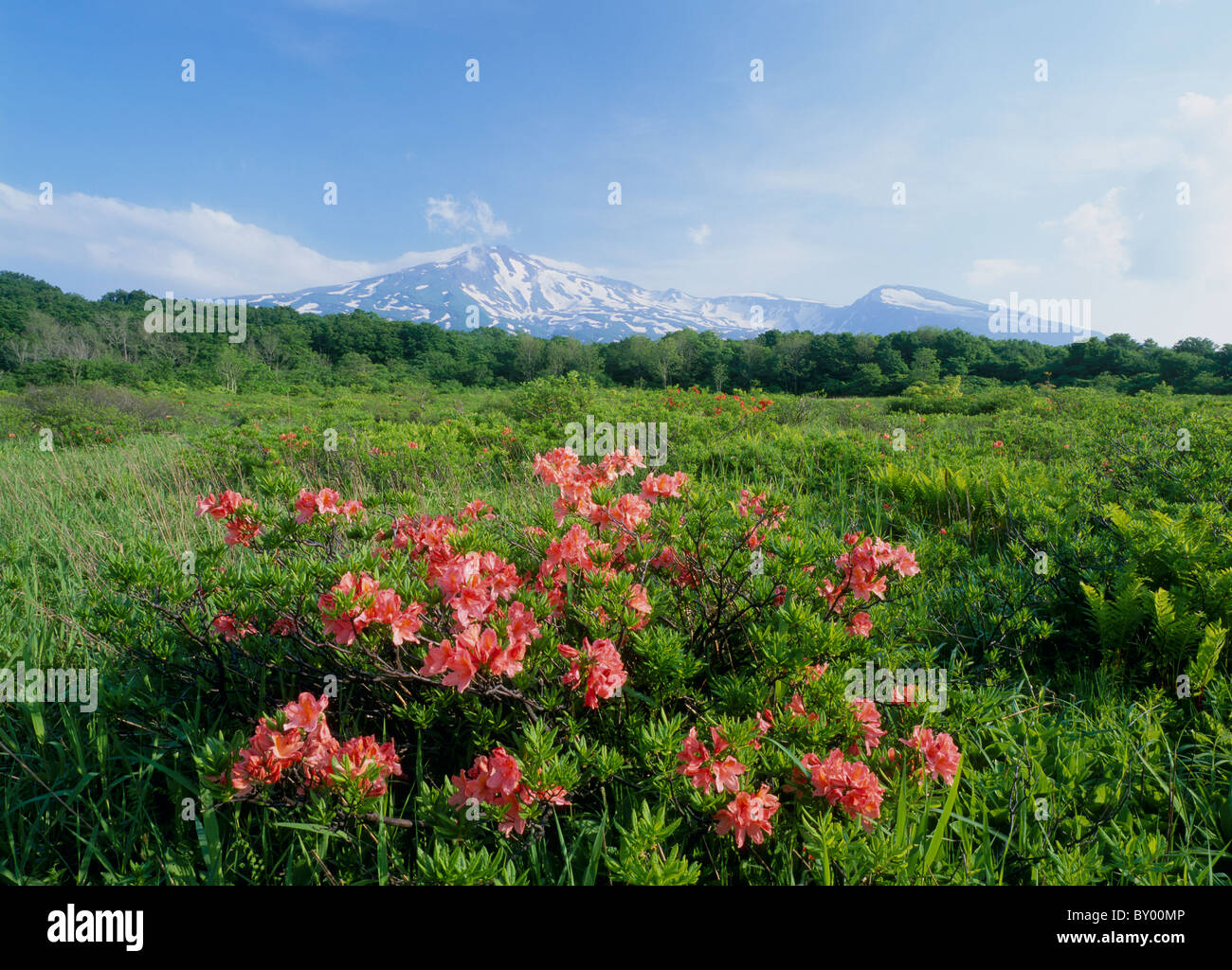 Kuwanokidai Moor And Mount Chokai Nikaho Akita Japan Stock Photo Alamy Kuwanokidai Moor And Mount Chokai Nikaho Akita Japan Stock Photo Alamy