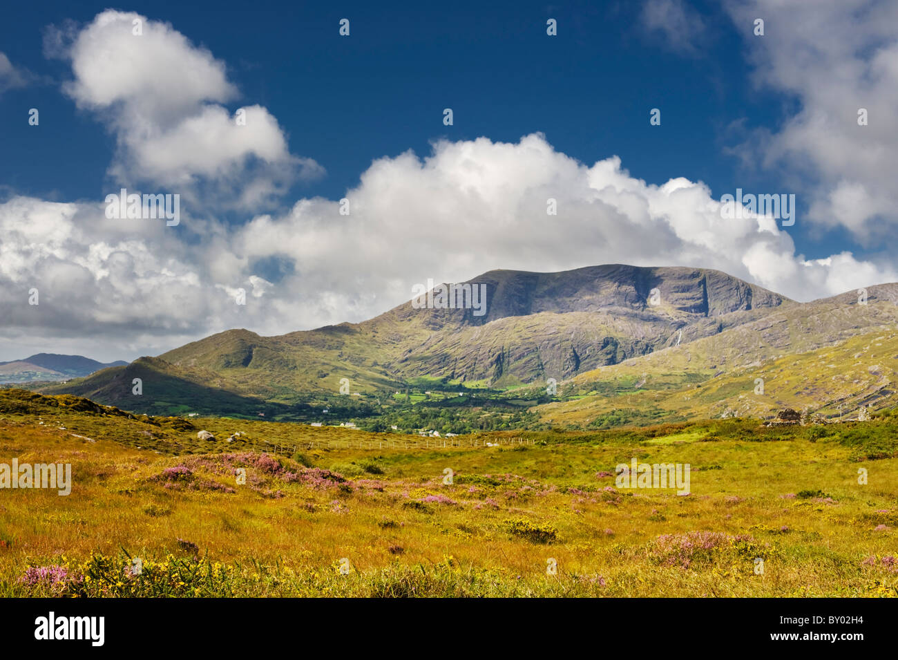 View westwards across bogland towards Hungry Hill, near Adrigole, Beara, County Cork, Ireland Stock Photo