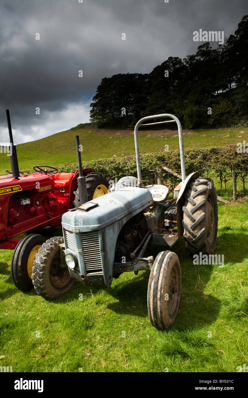 Ferguson Tractor at the Farndale Agrecultural Show, North Yorkshire, England Stock Photo