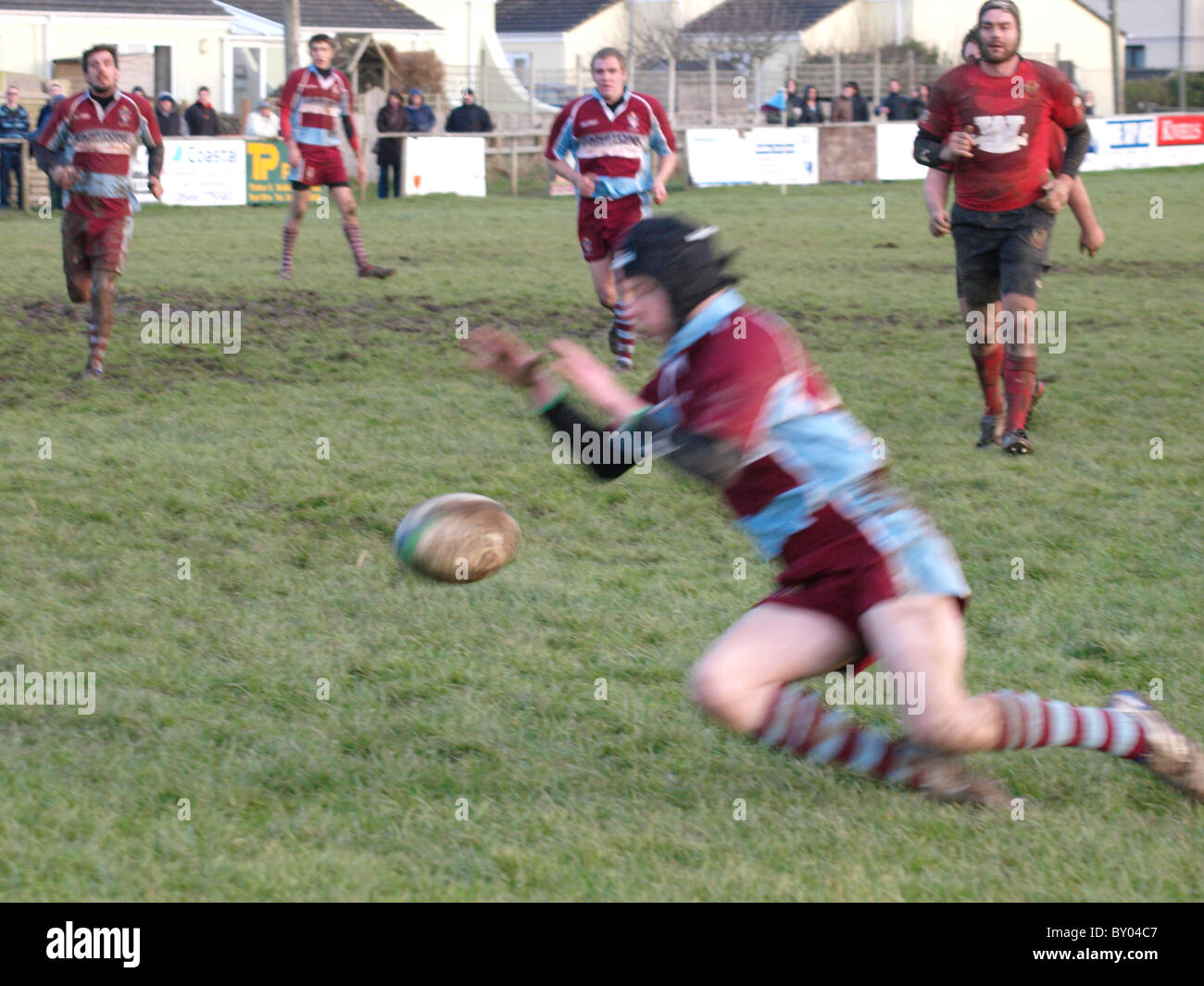 Diving on a loose ball to score a try, Amateur rugby match Bude RFC Versus Exeter Saracens, UK Stock Photo
