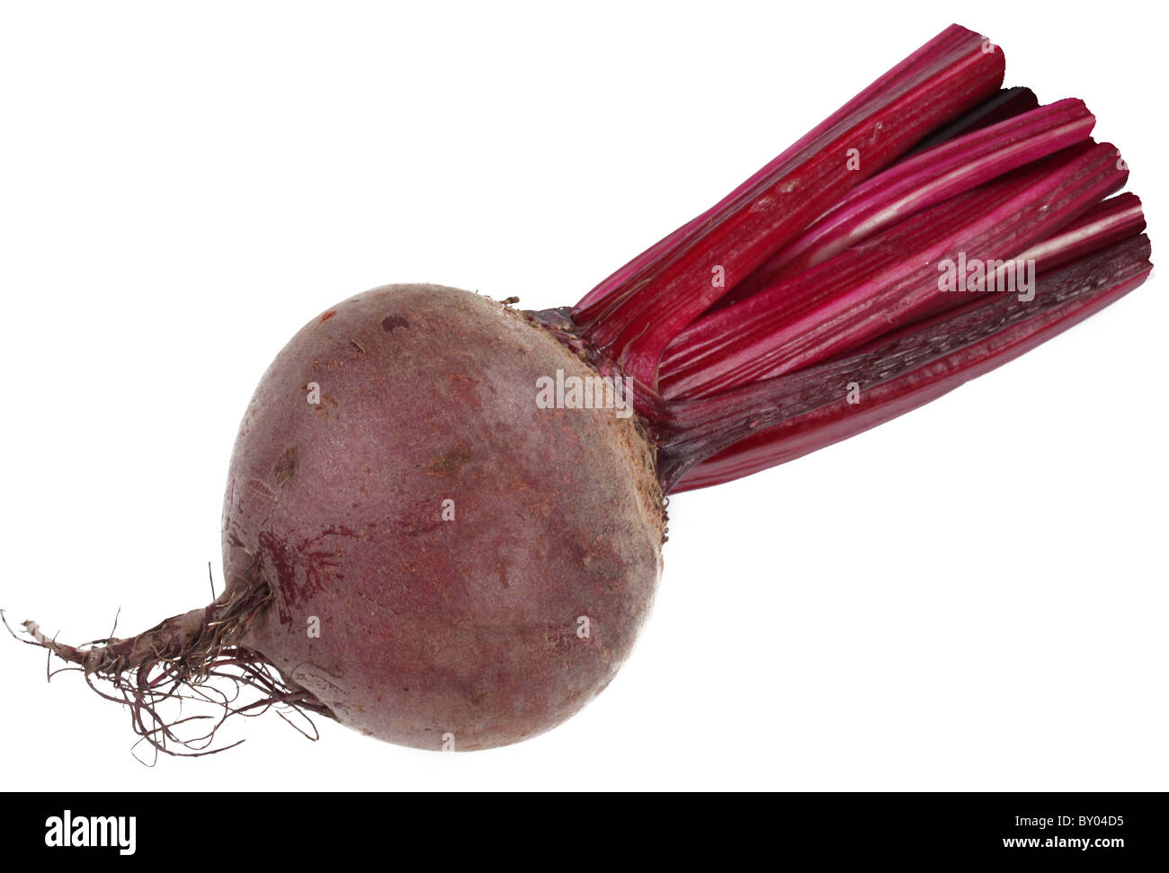 Image of beet on white background. The file contains a path to cut. Stock Photo