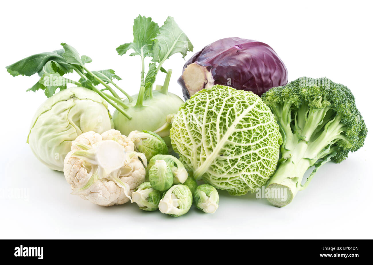 Collection of different varieties of cabbage on a white background. Stock Photo