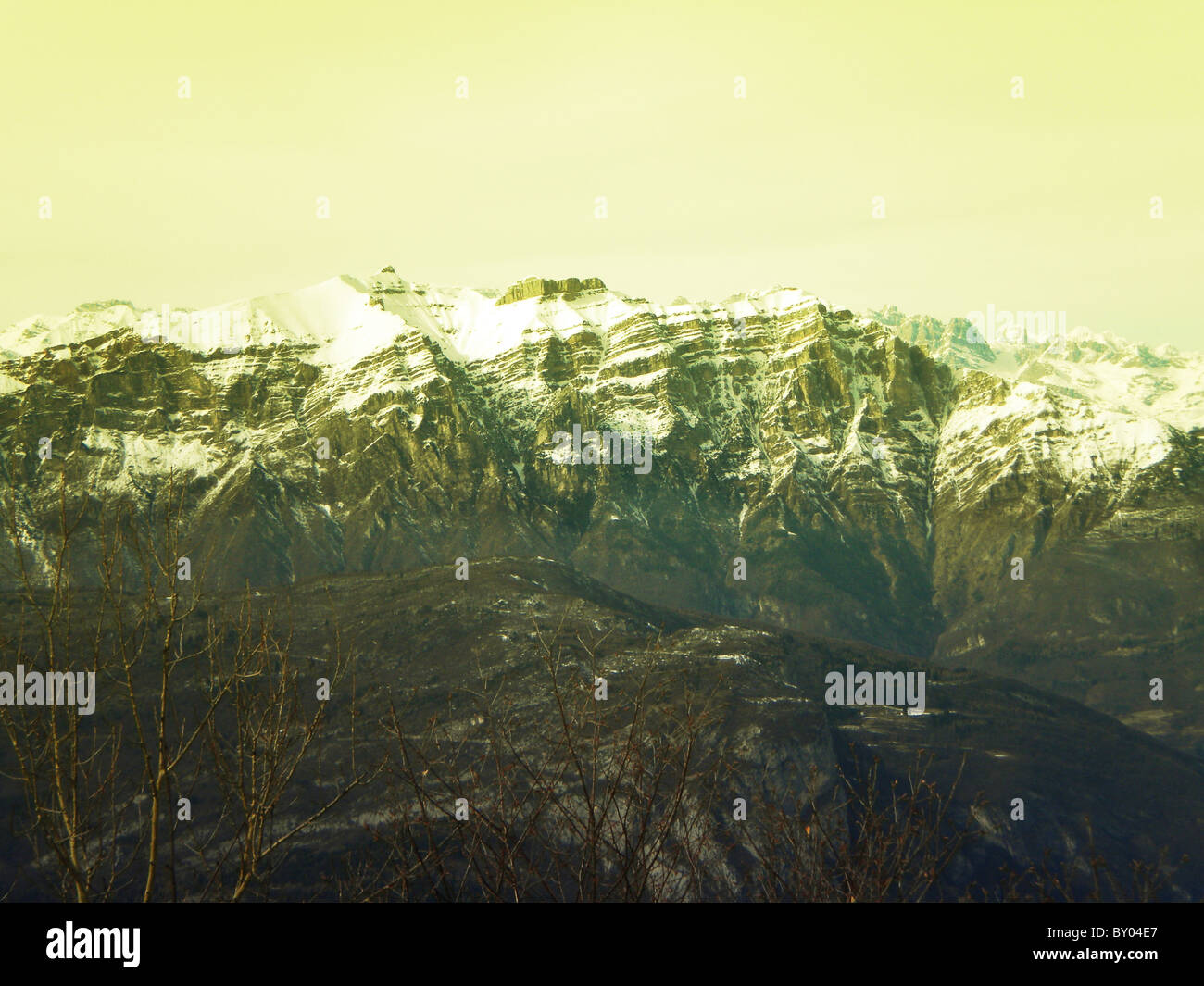 winter landscape with snow and pine trees cloudy sky background Stock ...