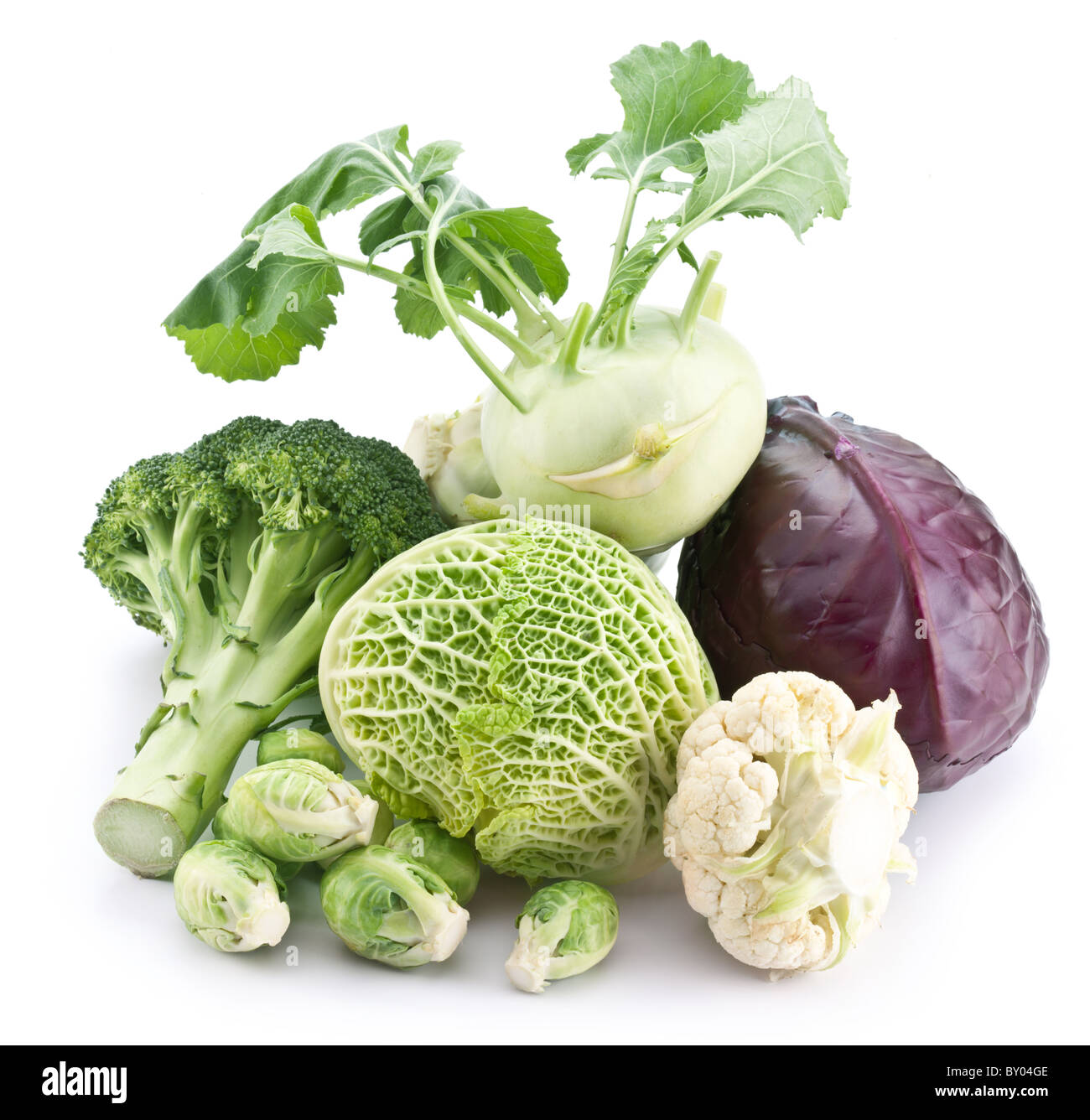 Collection of different varieties of cabbage on a white background. Stock Photo