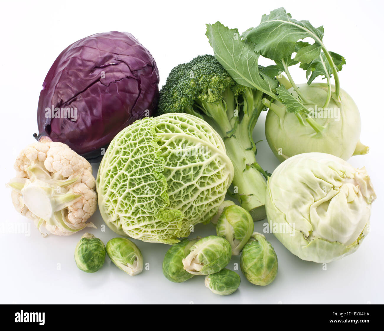 Collection of different varieties of cabbage on a white background. Stock Photo