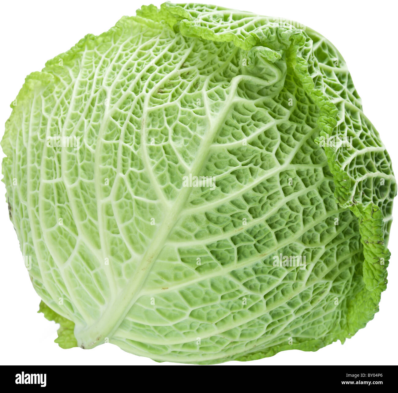 Image of cabbage on white background. The file contains a path to cut. Stock Photo
