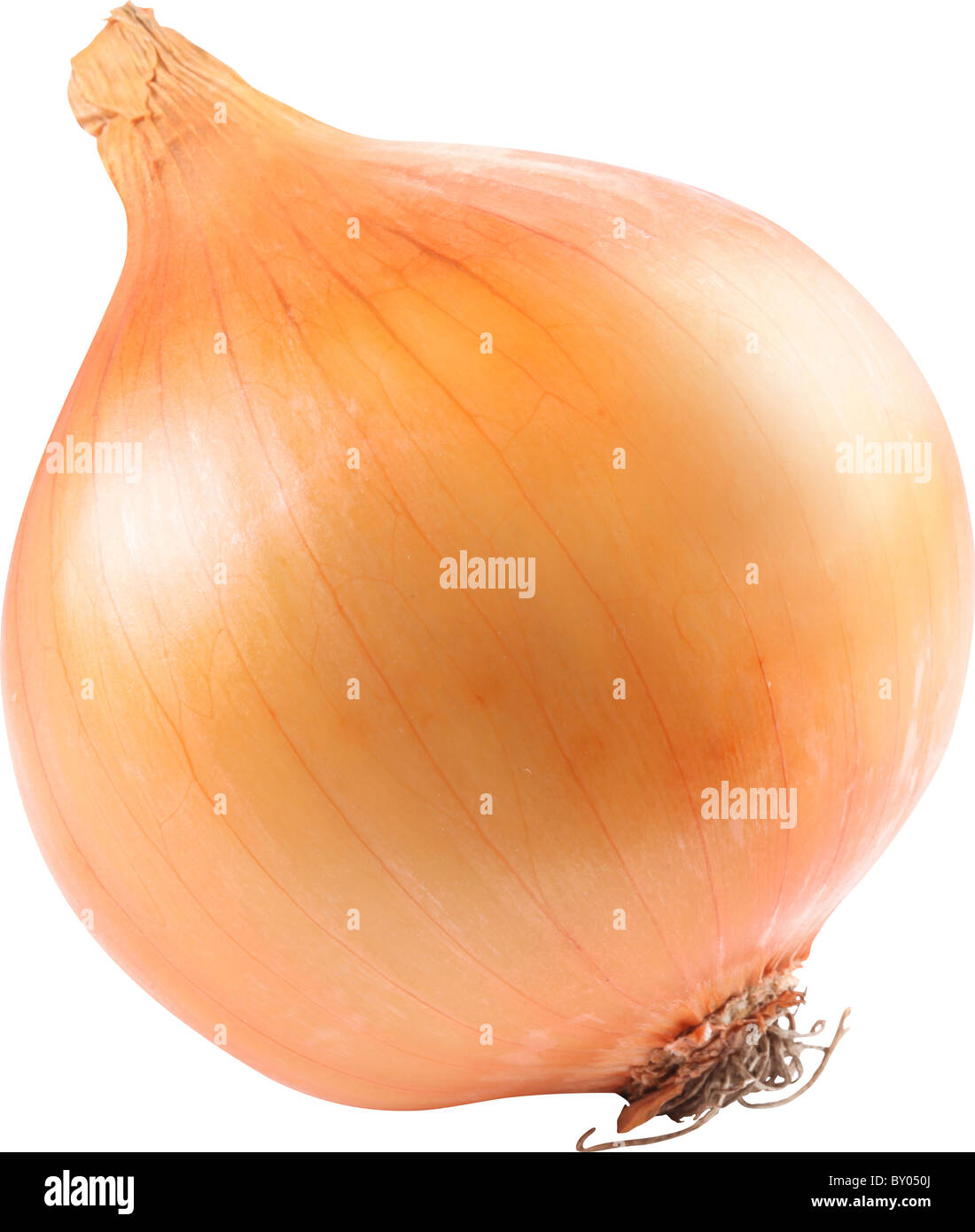 Image of onion on white background. The file contains a path to cut. Stock Photo