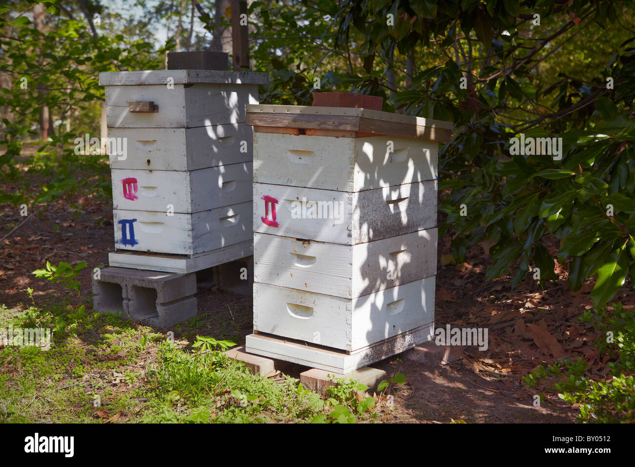 Beehives at Historic London Town and Gardens, Edgewater, Maryland. Stock Photo