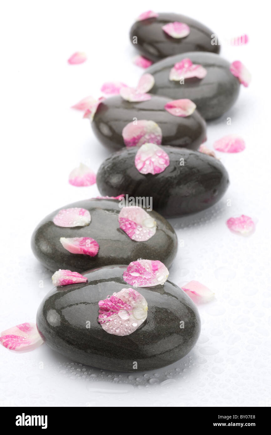 Spa stones with rose petals on white background Stock Photo - Alamy