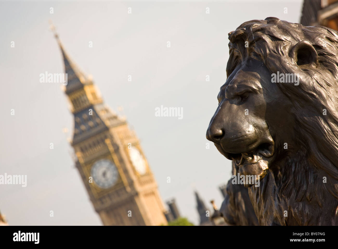 Big Ben with Trafalgar Square Lions in foreground Stock Photo