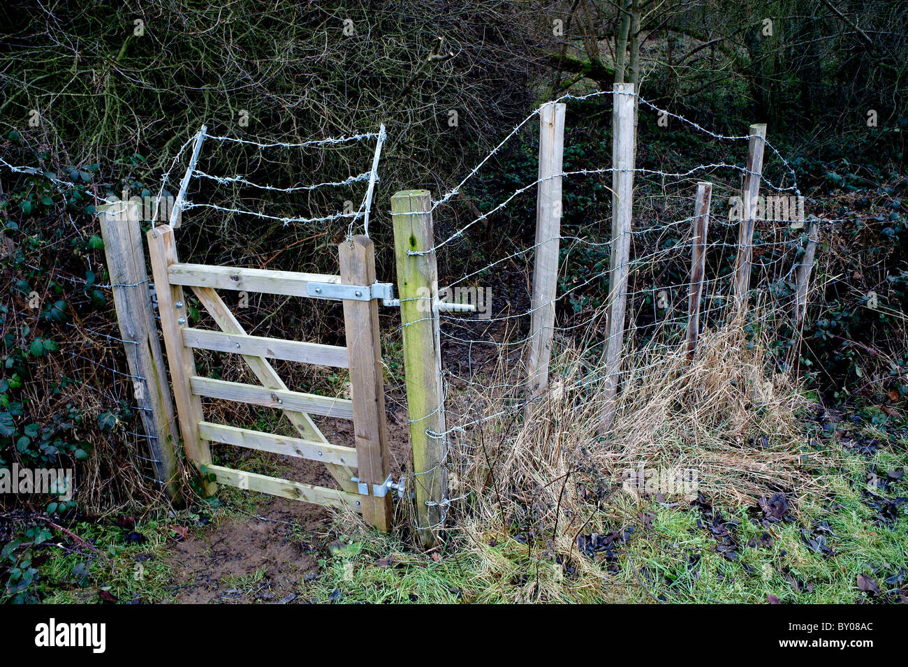 Barbed wire and gate in woodland Stock Photo Alamy