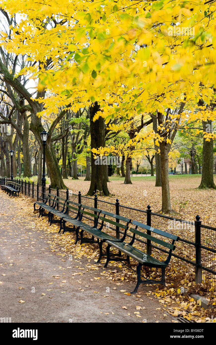 Park Bench in Autumn. Stock Photo