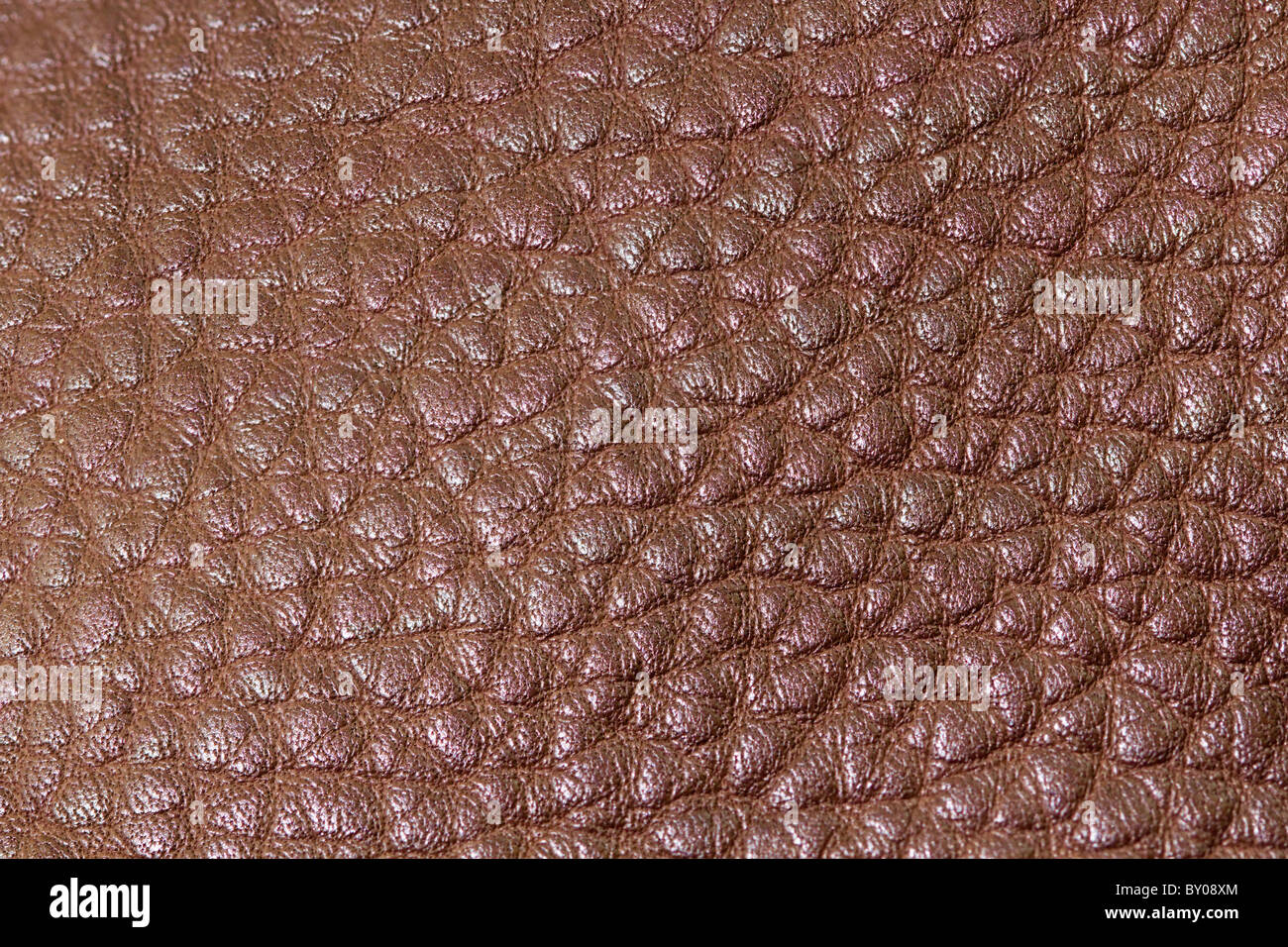 Leather Tanned Texture Images – Browse 18,070 Stock Photos, Vectors, and  Video