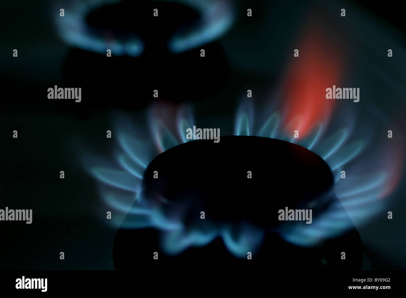 gas burning from a hob Stock Photo Alamy