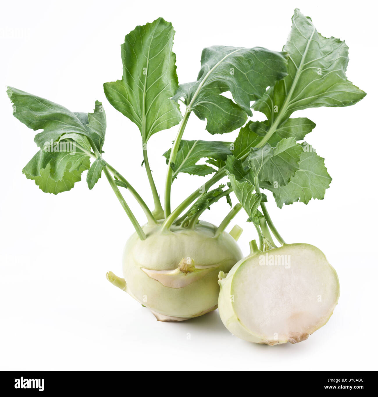 Cabbage kohlrabi on a white background Stock Photo