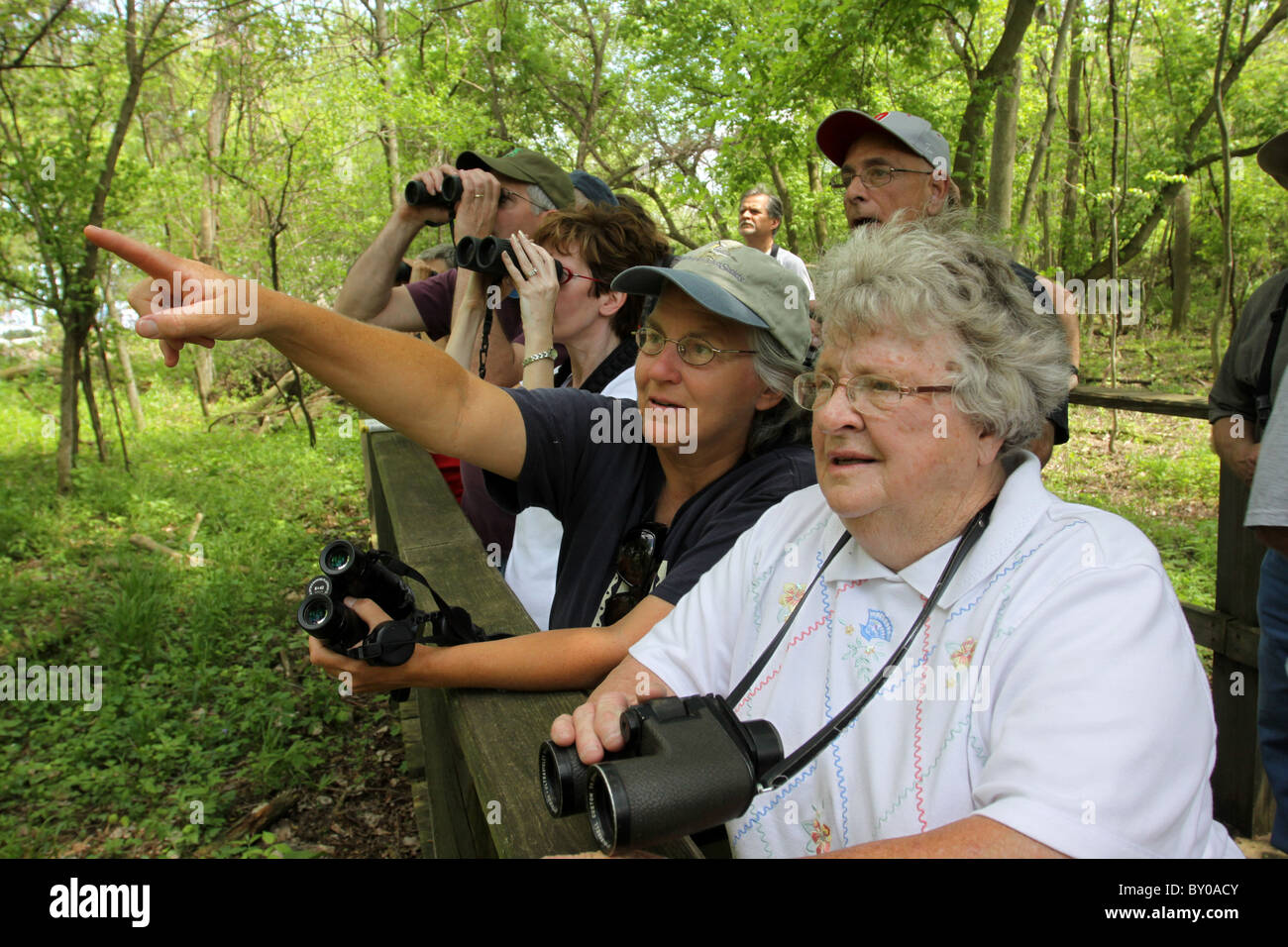 birdwatchers Magee marsh wildlife refuge Ohio lake erie Stock Photo Alamy