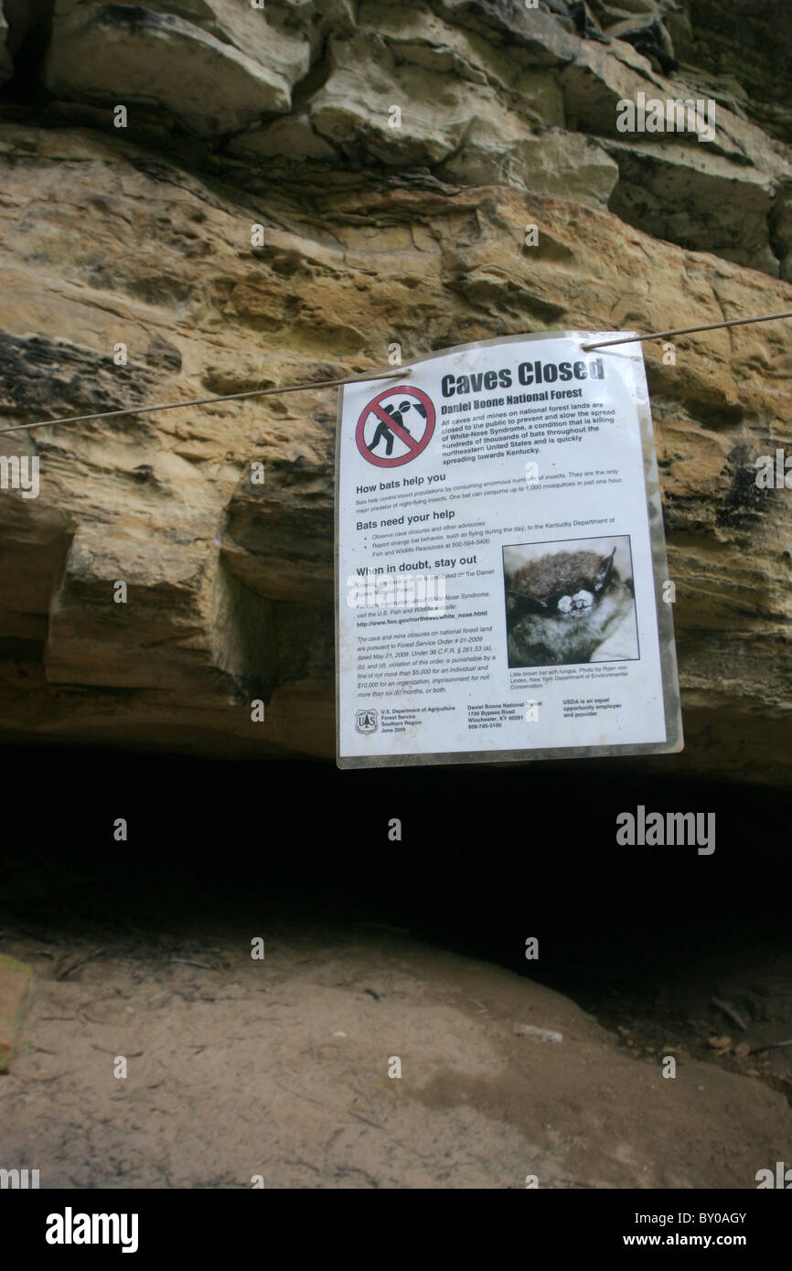 Cave closed sign to protect bats from white nose syndrome fungal disease Kentucky Stock Photo