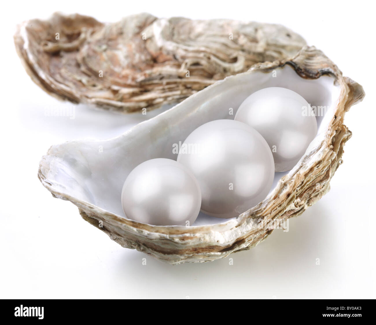 Image placer pearls in a shell on a white background. Stock Photo
