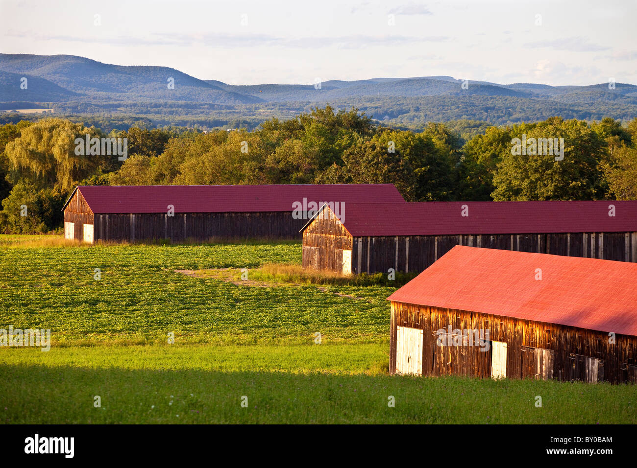 New england barn hi-res stock photography and images - Alamy