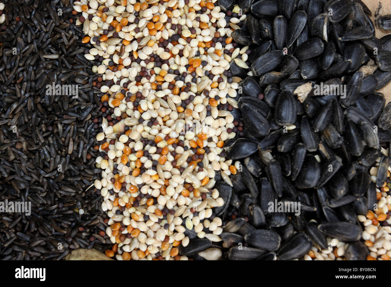 seed for bird feeding thistle millet sunflower birdseed Stock Photo Alamy