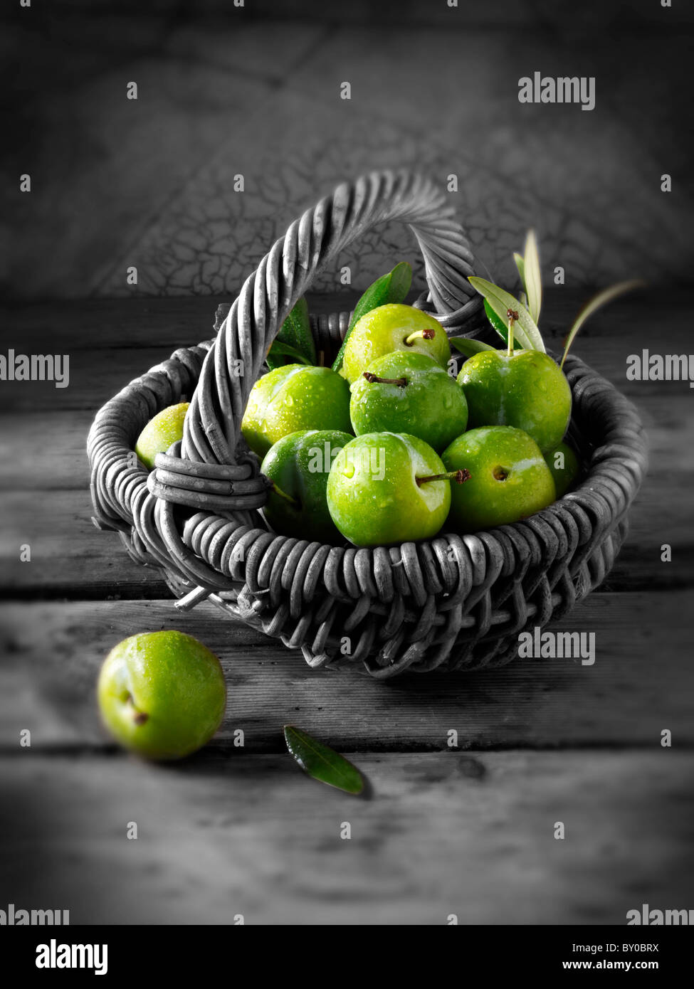 Fresh whole greengages Stock Photo
