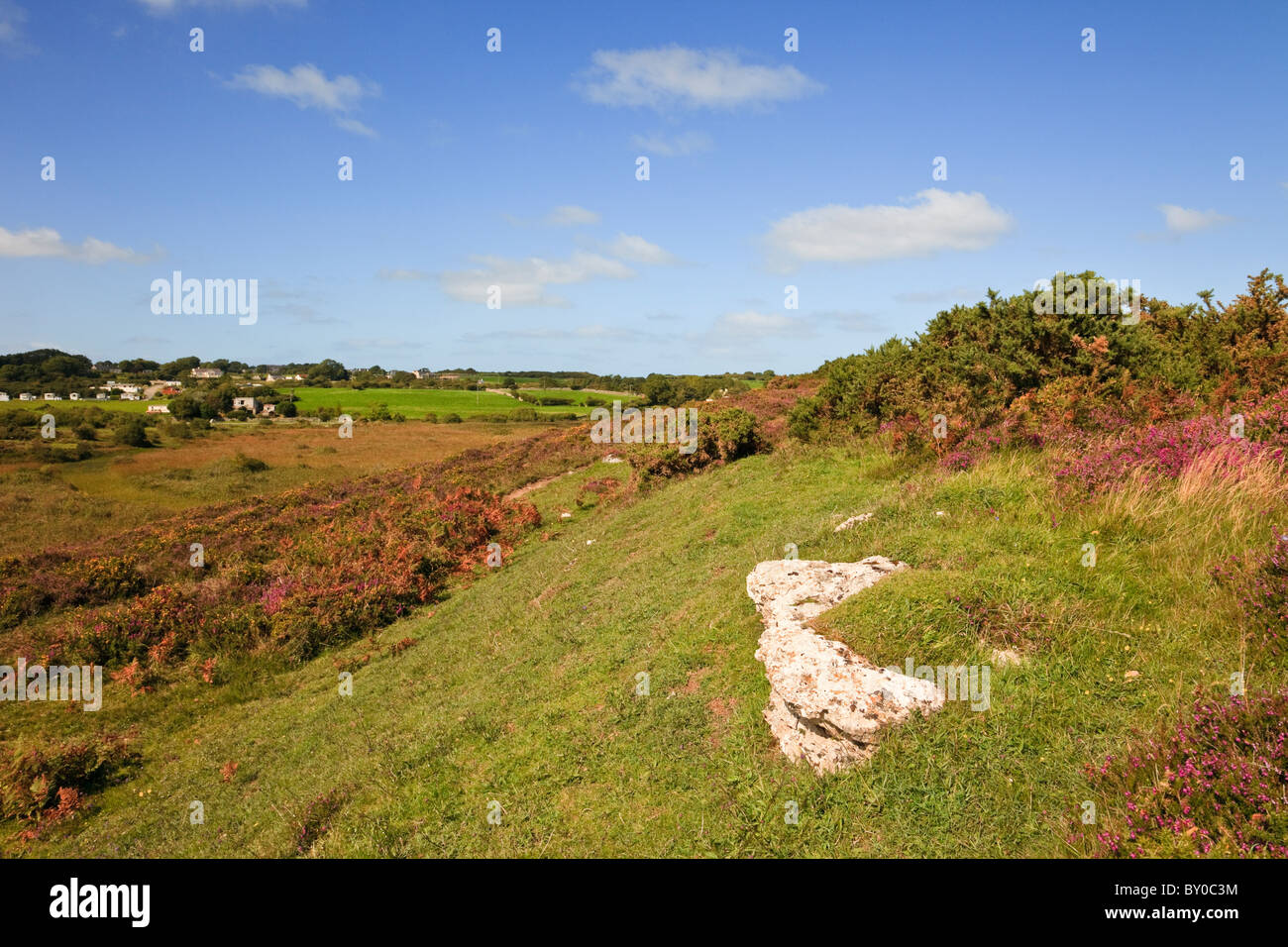 Cors goch nature reserve hires stock photography and images Alamy