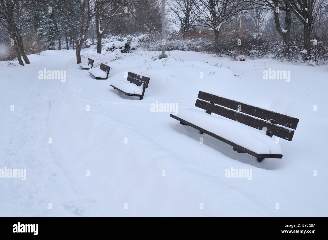 Park in winter - benches covered in deep snow Stock Photo - Alamy