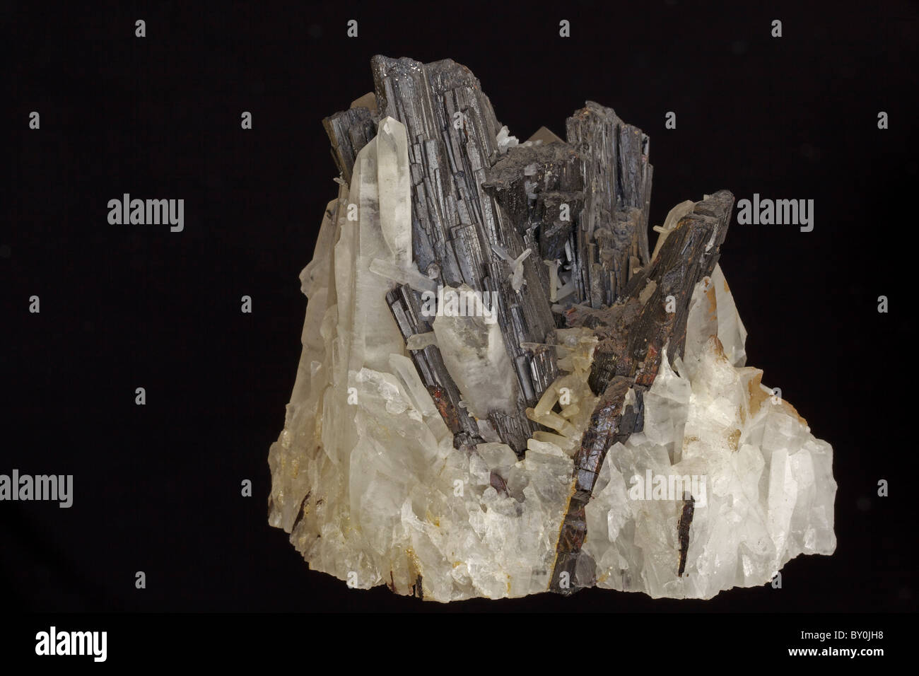 Hubnerite (Ferberite) on Quartz - Pasto Bueno - Peru - Iron manganese tungstate - the main ore of tungsten Stock Photo