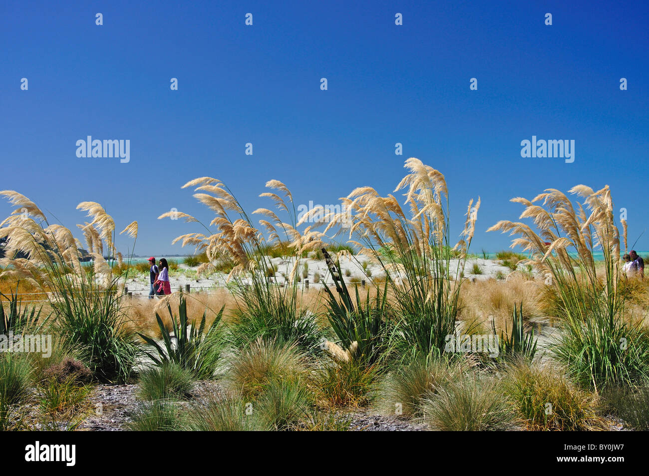 Sand dunes and boardwalk at Caroline Bay, Timaru, South Canterbury, Canterbury Region, South Island, New Zealand Stock Photo