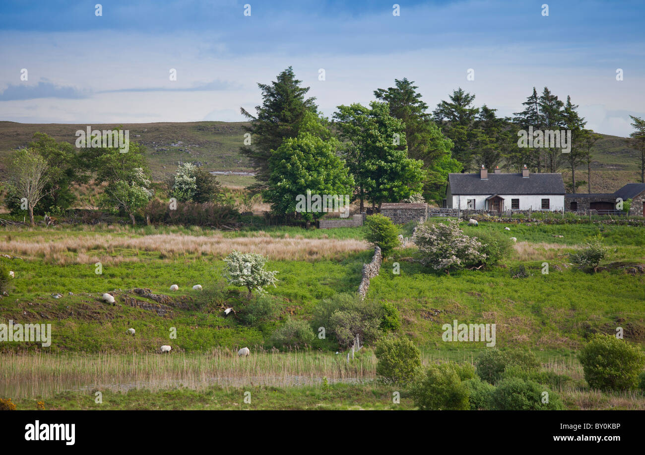 Farmhouse home nestling at the foot of the Maumturks mountains, near Recess, in Connemara, County Galway, Ireland Stock Photo