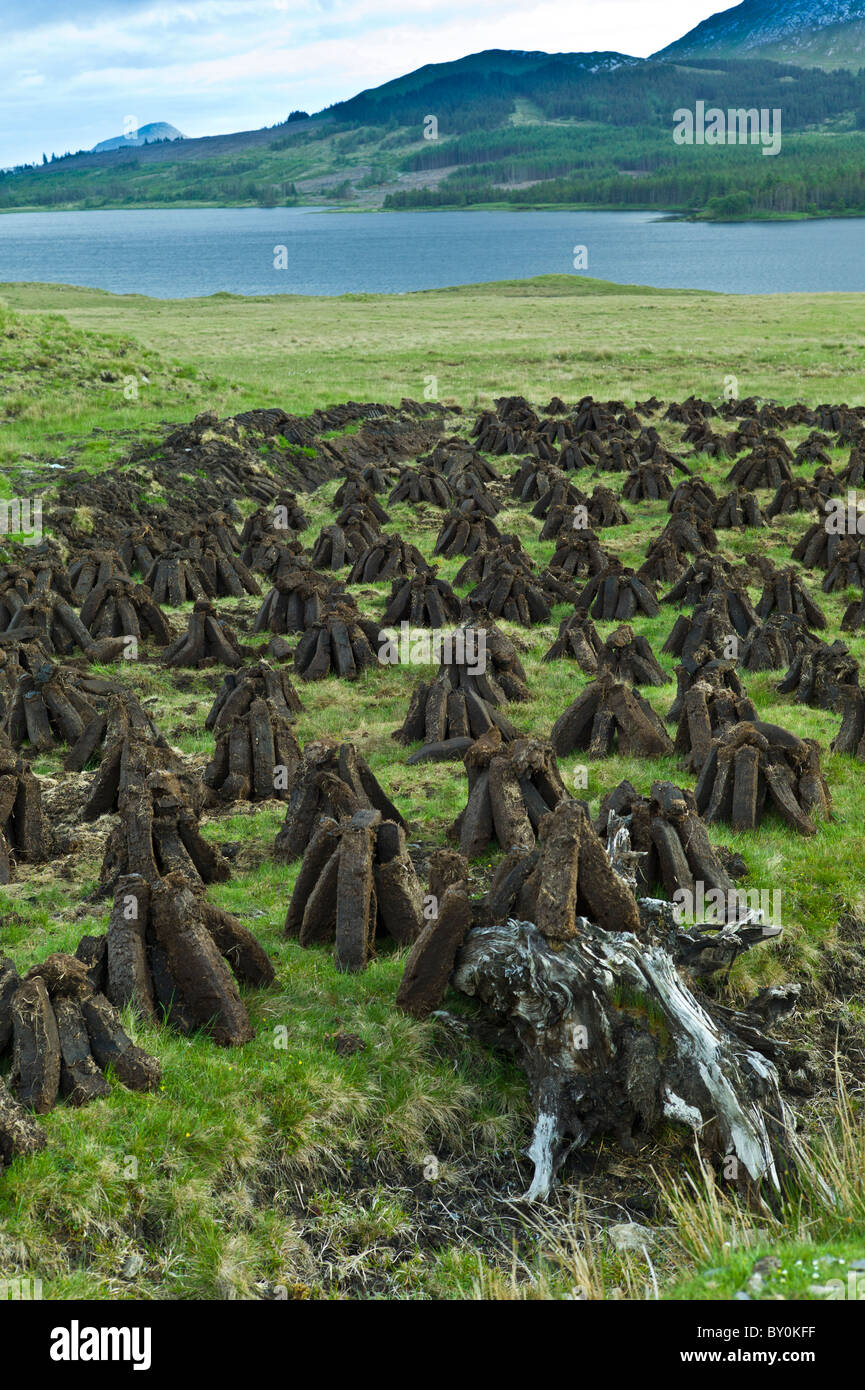 Stacks of turf, in a process called footing, drying on peat bog, by Lough Inagh, Connemara, County Galway, Ireland Stock Photo