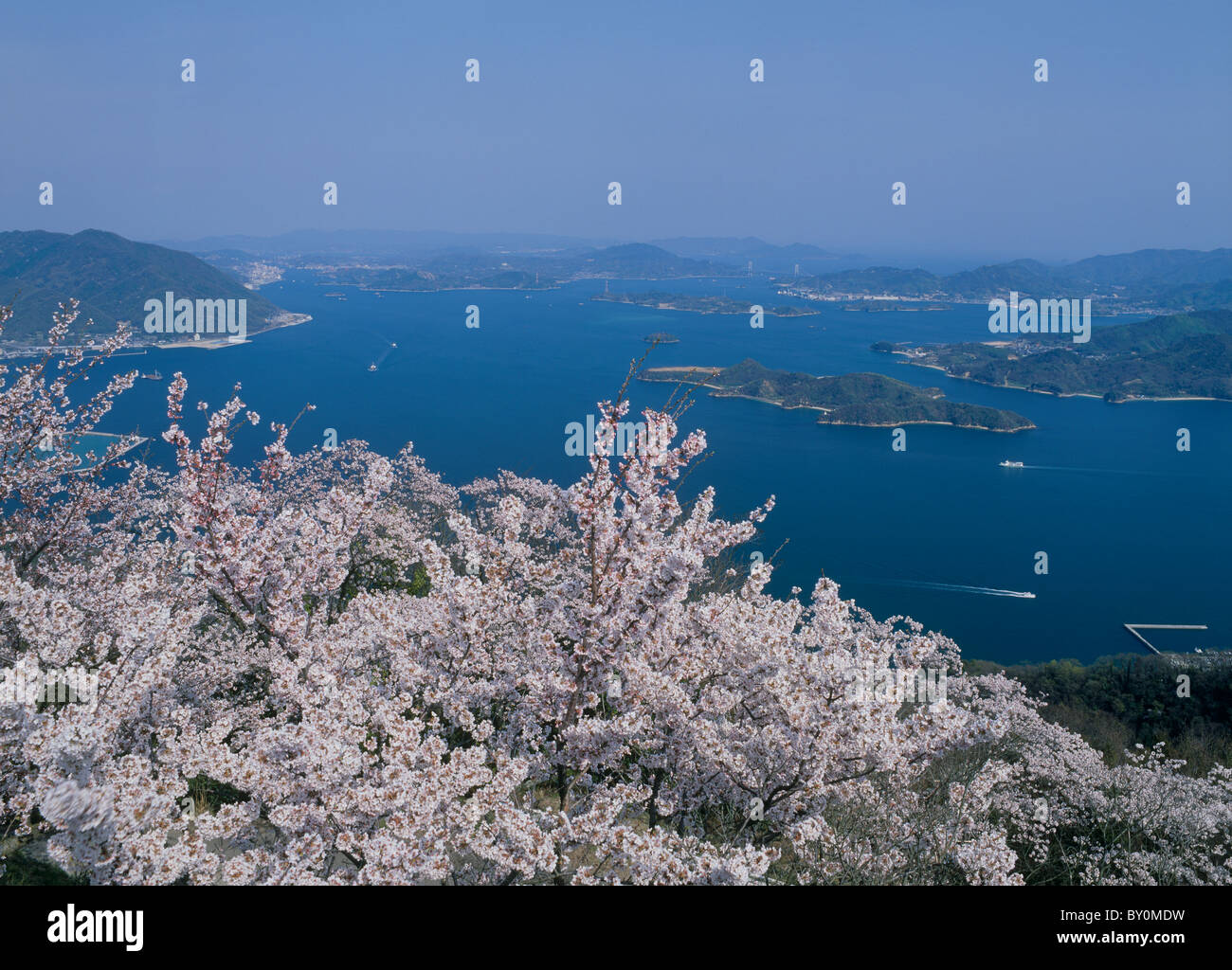 Cherry Blossoms And Geiyo Islands Mihara Hiroshima Japan Stock Photo Alamy