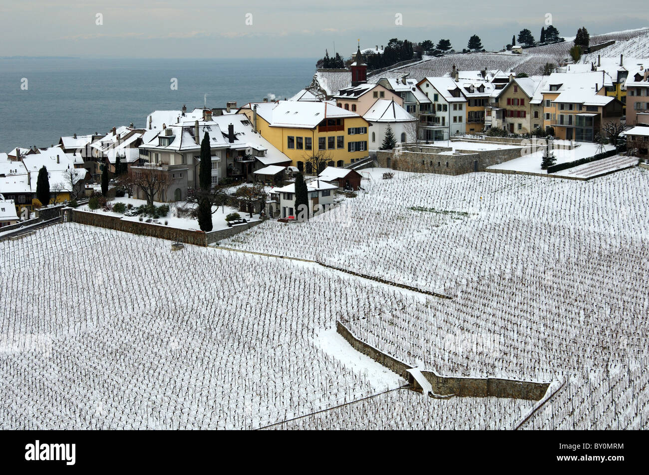 Rivaz between snow-covered vineyards and Lac Leman, UNESCO World Heritage site Lavaux, cantone of Vaud, Switzerland Stock Photo