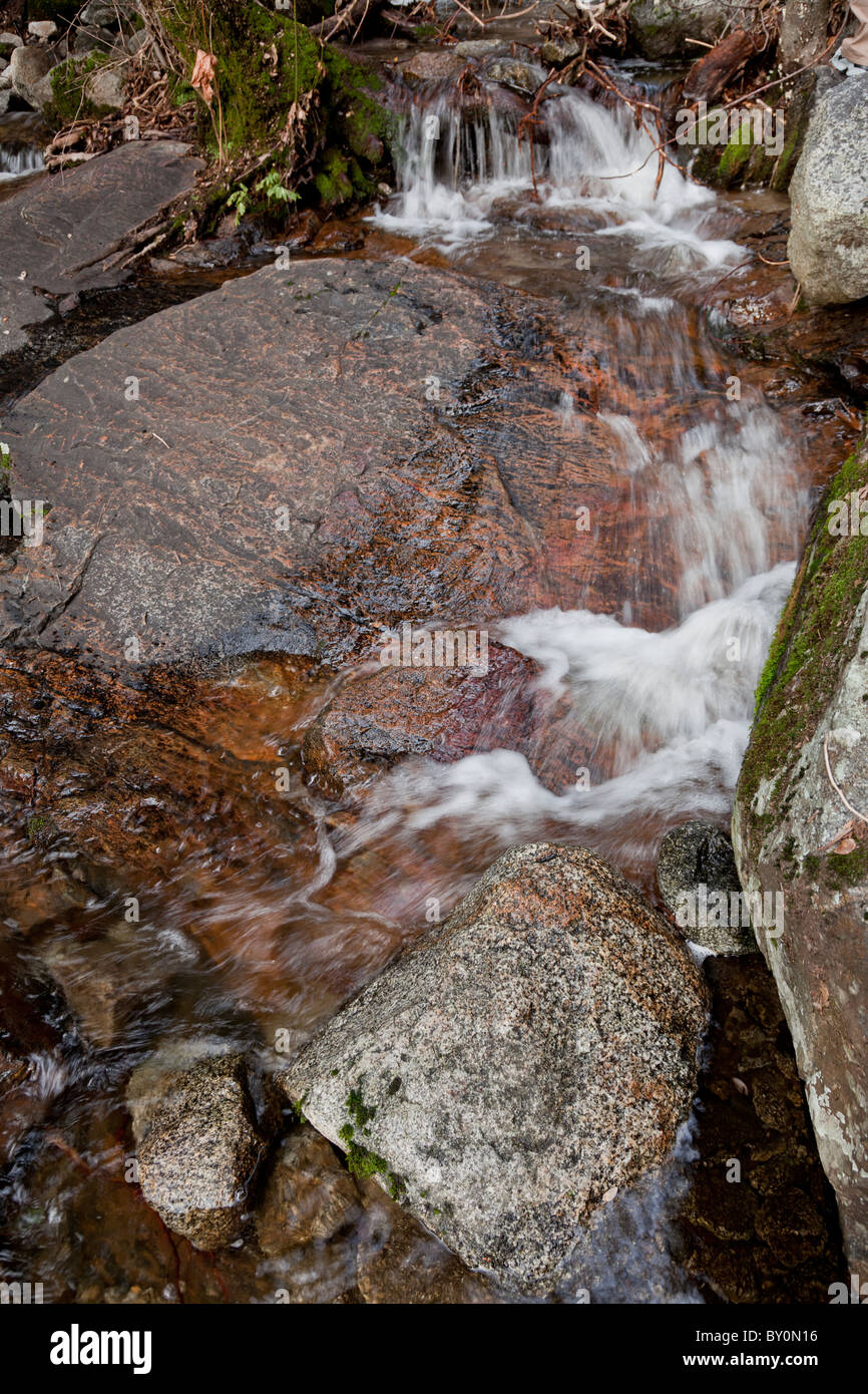 One can almost hear the water falling over these worn rock in this small babbling brook in the Sequoia National Forrest. Stock Photo