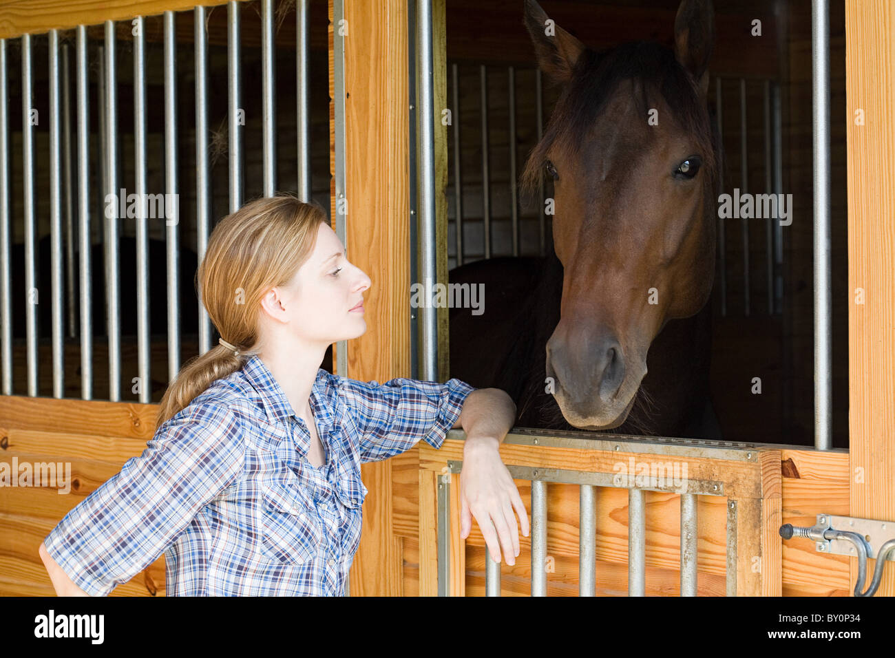 Mid adult woman with horse in stable Stock Photo