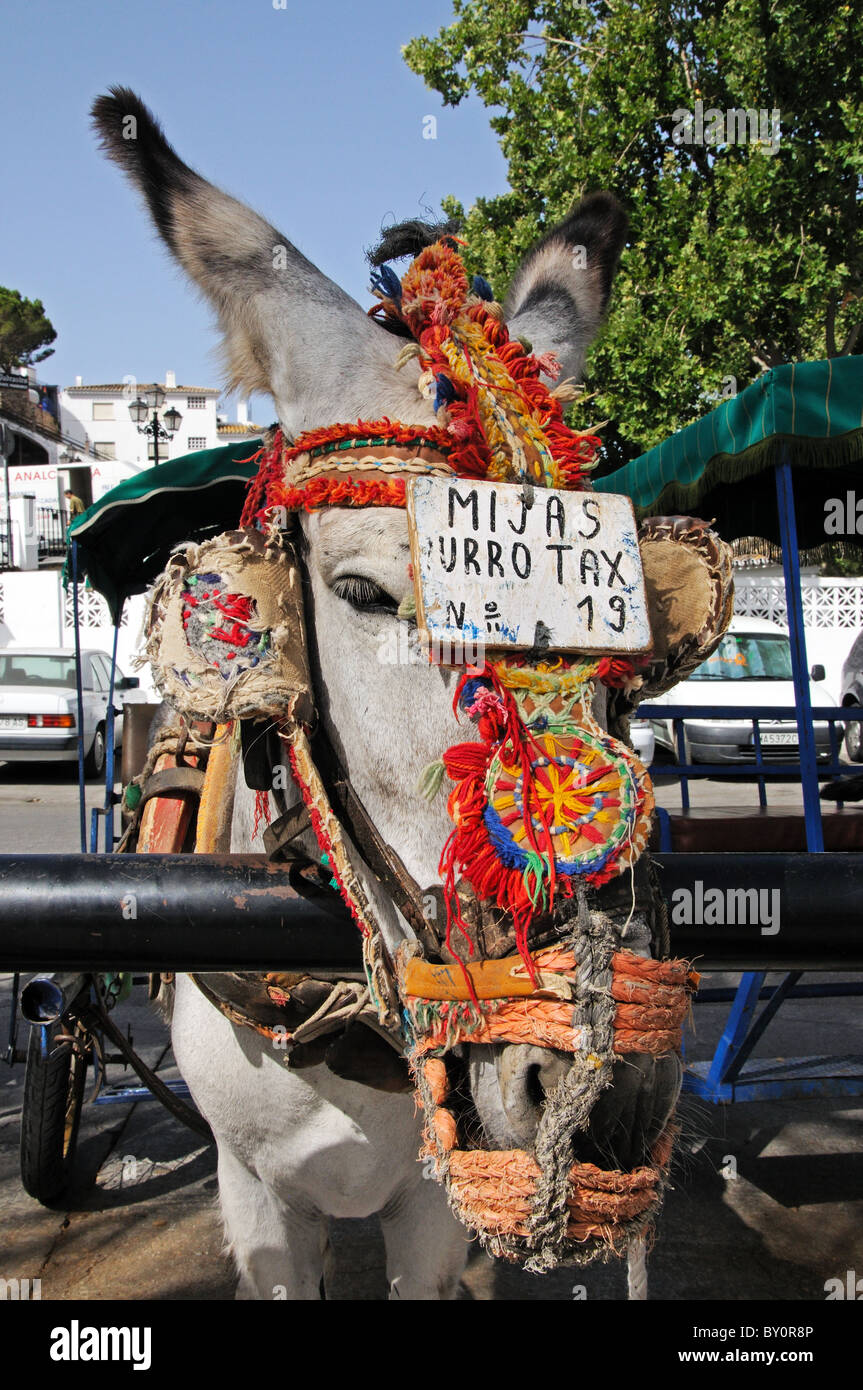 Donkey (Burro Taxi), Mijas, Costa del Sol, Malaga Province, Andalucia, Spain, Western Europe. Stock Photo