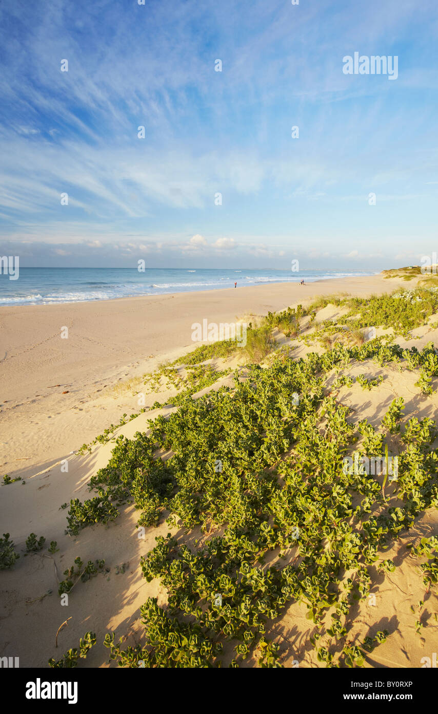 Jeffreys bay, south africa hires stock photography and images Alamy